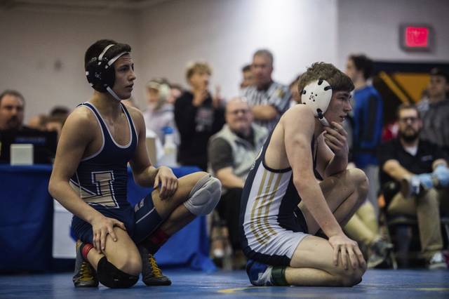 Norwin’s Phipps, North Hills’ Hillegas eye 3rd WPIAL titles after semifinal victories<span class="headline-video">Video <i class="fa-solid fa-circle-play"></i></span>