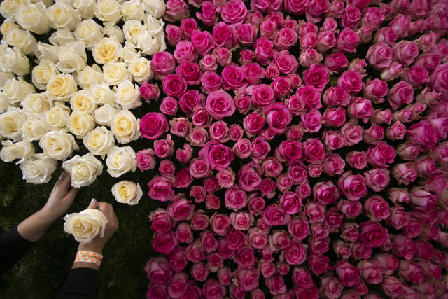 836102_web1_593567-29276362748d4d75a6f05c411eb4c5e8