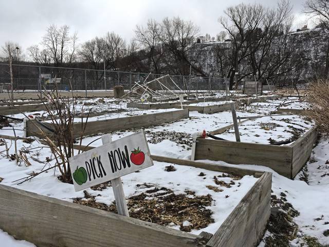 838098_web1_vnd-tarentumgarden-030719