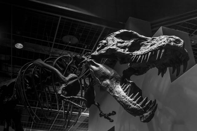 841707_web1_ptr-valleyforgedino-030719