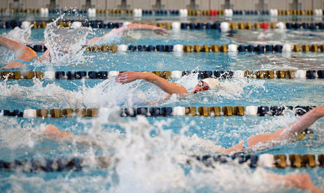 Franklin Regional swim team basks in WPIAL meet success