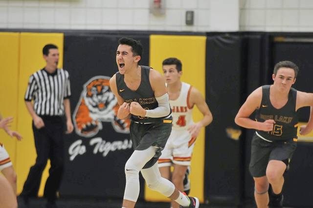 Alle-Kiski Valley PIAA basketball capsules: Games for March 8-9, 2019