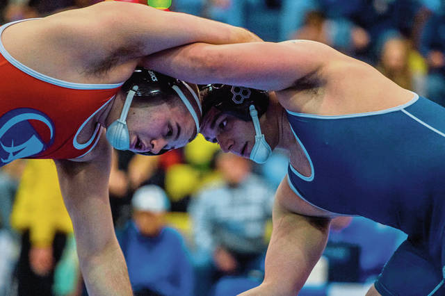 Norwin sends program record 10 wrestlers to WPIALs; 2 capture titles