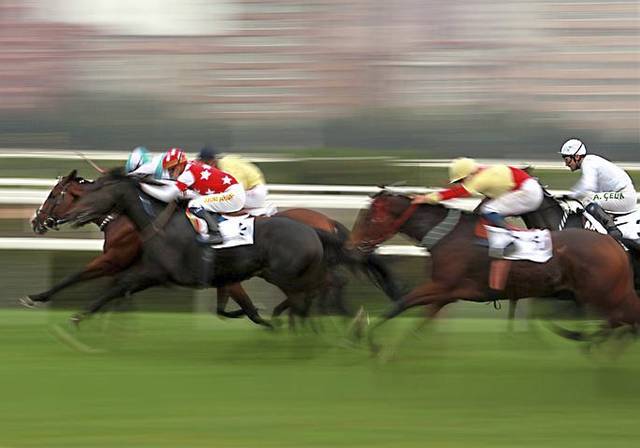 849563_web1_WEB-horse-race