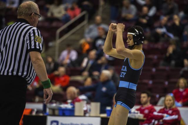 PIAA Class AAA wrestling finals to feature 3 all-WPIAL matchups