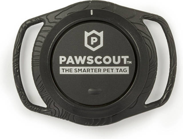 866429_web1_gtr-liv-pettech03-031719