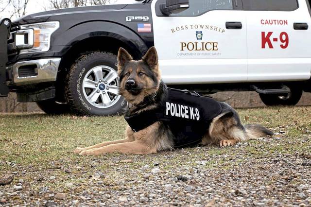 869722_web1_nj-rossK9vest-032119
