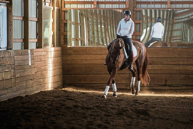 876114_web1_gtr-dressage003-031619