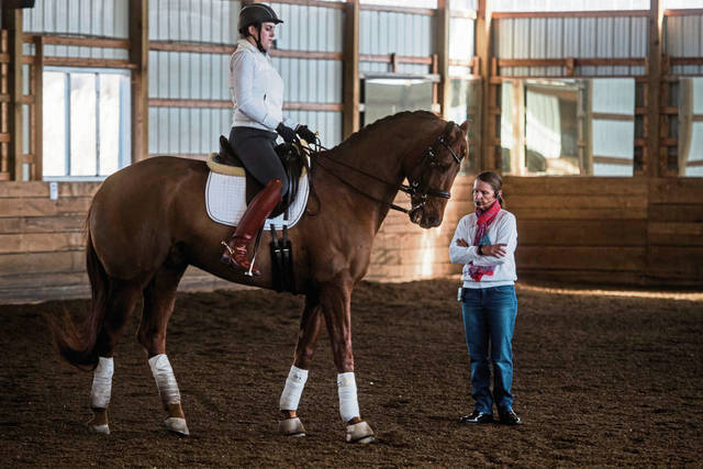 876114_web1_gtr-dressage005-031619