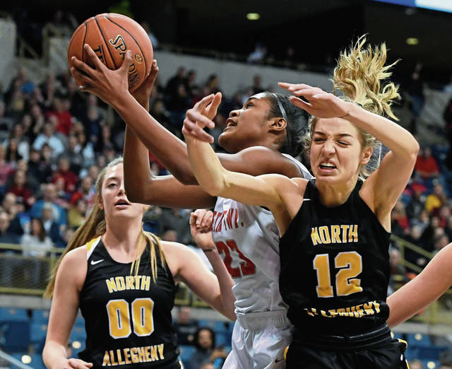 North Allegheny seniors bow out in 2nd round of states