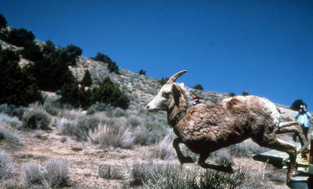 891821_web1_891821-43e661cfcb774e69b72fe79dea7ab90c