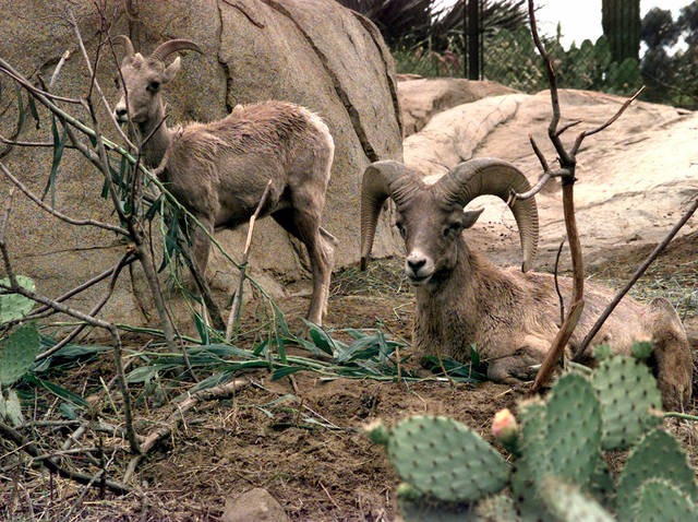 891821_web1_891821-ae2f46633e084f45a5418fcbf768e716