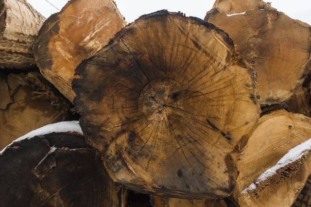 895439_web1_GTR-Sawmill6-012019