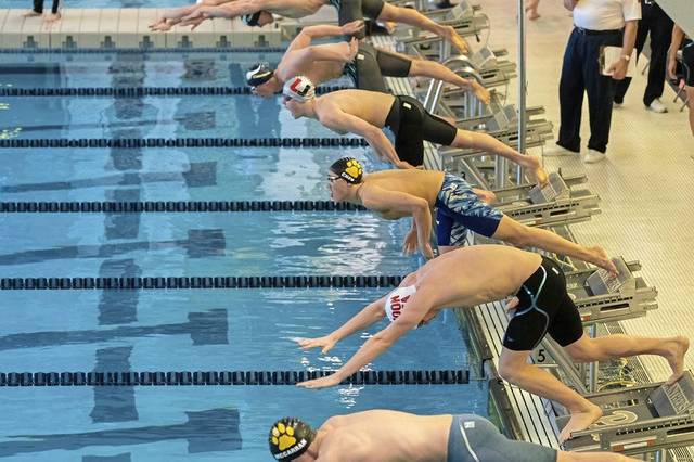 North Allegheny’s Chen selects Pitt to continue swimming career