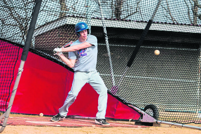 Mt. Pleasant’s Giallonardo invited to be Wild Things’ special guest