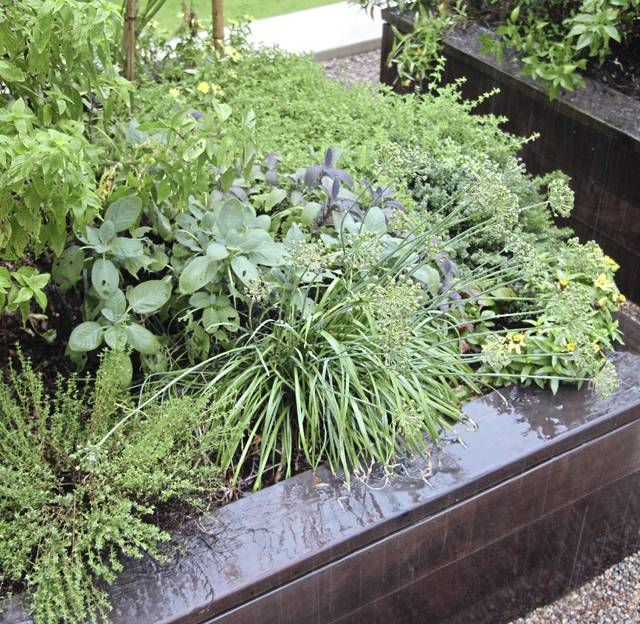 908351_web1_gtr-liv-garden-032219