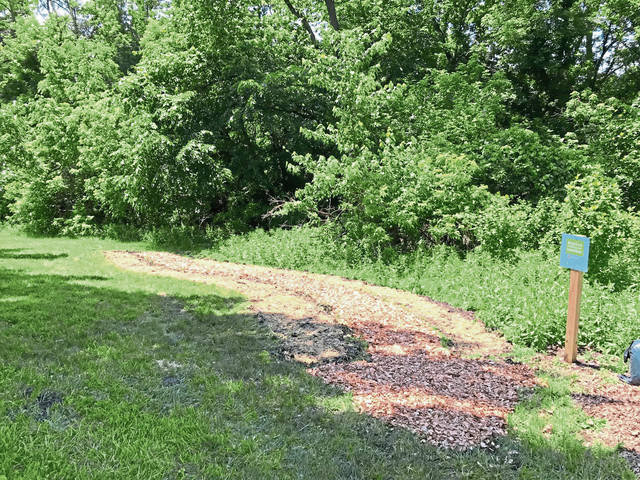 913411_web1_te-pollinatorspace02-032819