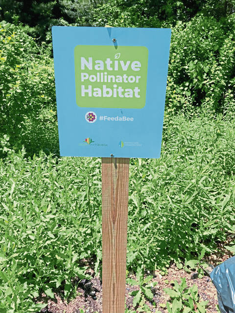 913411_web1_te-pollinatorspace03-032819