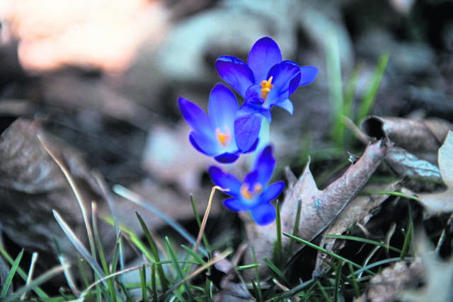 913450_web1_gtr-lo-spring008-032019