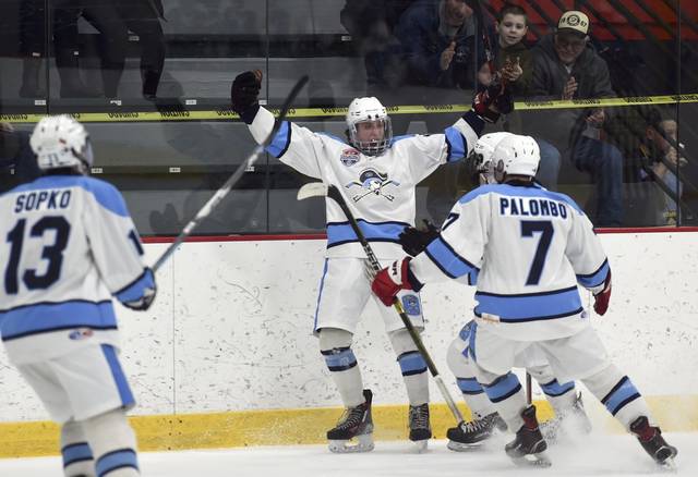 Alle-Kiski Valley notebook: Burrell hockey gets shot at nation’s best