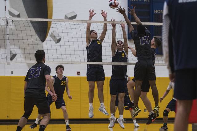Talented Norwin boys volleyball still playing like underdogs