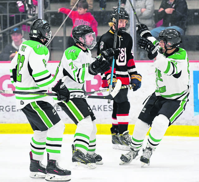 Pine-Richland, Burrell win at USA Hockey national championships