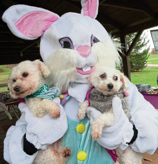 1010184_web1_gtr-OA-dogegghunt1-042219