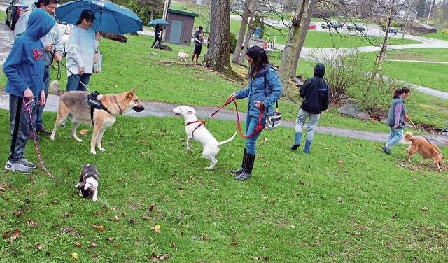 1010184_web1_gtr-OA-dogegghunt3-042219