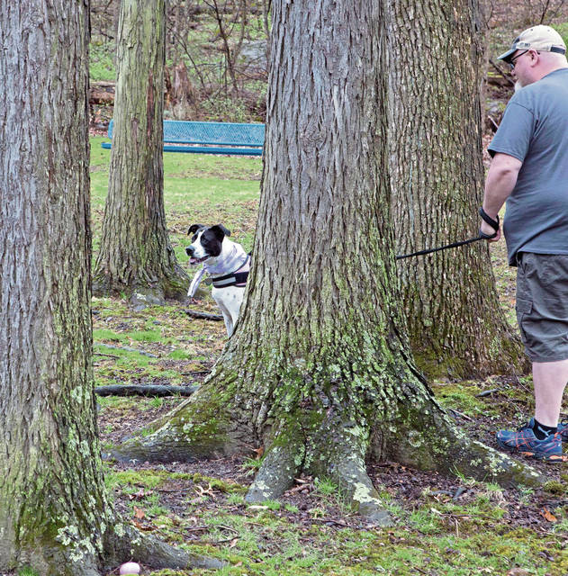 1010184_web1_gtr-OA-dogegghunt8-042219