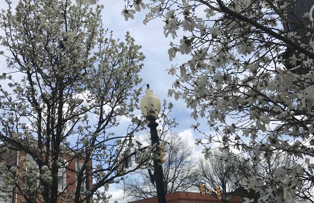 Here’s what’s happening around town:
Tuesday, April 16