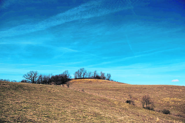 1033107_web1_vnd-LigFarm002-030119