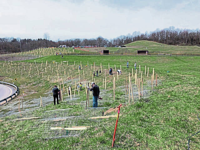 Aleppo plans Earth Day cleanup
