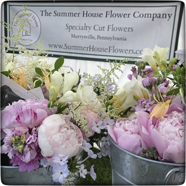 1057491_web1_gtr-liv-summerhouse06-042619