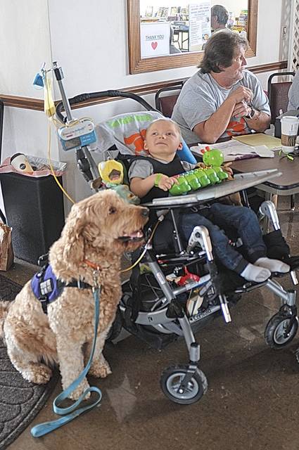 1058039_web1_sj-lo-ford3-050219