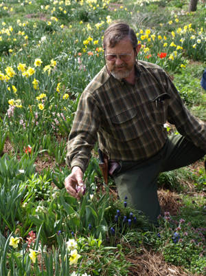 1061750_web1_summer_bulbs_brent_heath
