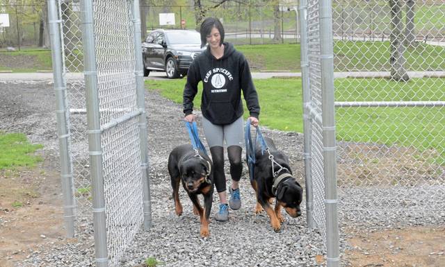 1077188_web1_Pal-dogparkupdate1-050219