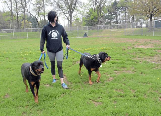 1077188_web1_Pal-dogparkupdate6-050219