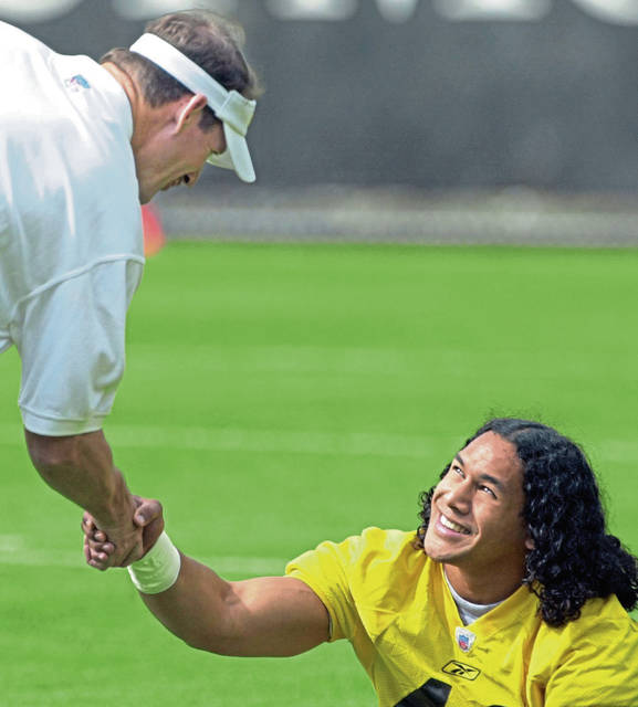 1078455_web1_gtr-polamalu1-042719