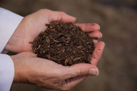 1082350_web1_compost-corpse-repeat-fde4efd4-6887-11e9-a1b6-b29b90efa879
