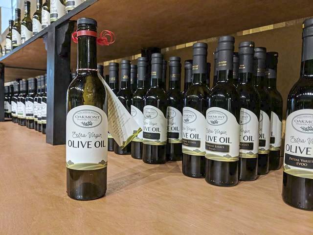 946396_web1_gtr-fd-olive1-040219 946396_web1_gtr-fd-olive1-040219