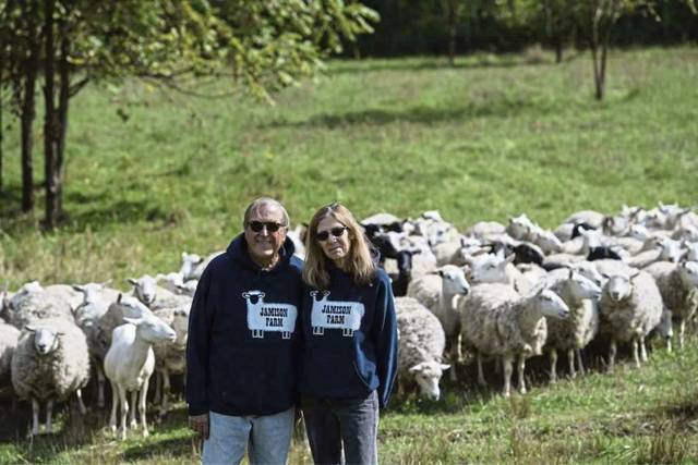 966774_web1_gtr-fd-jamison2-040319