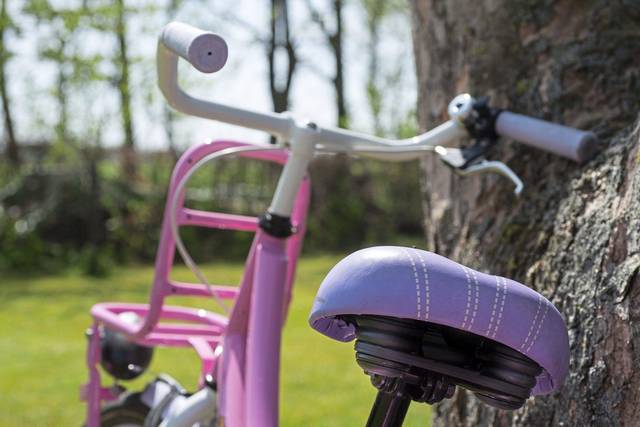 972854_web1_WEB-kids-bike