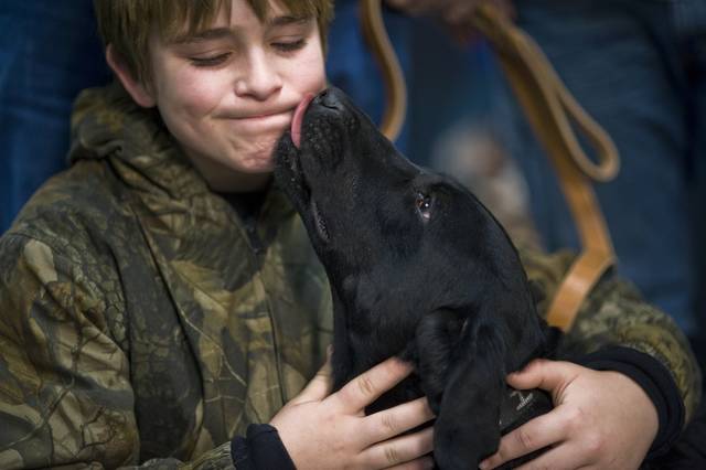 983429_web1_dog-659870_1920