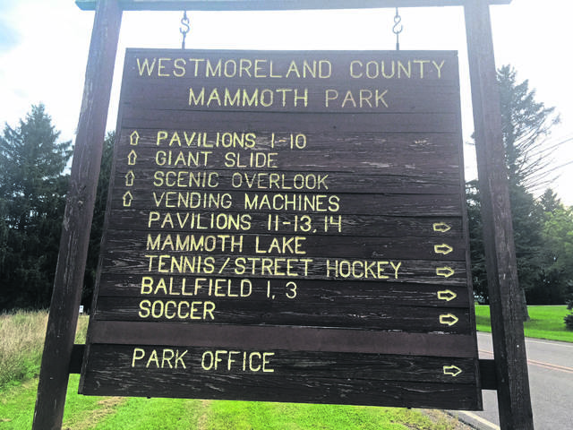 993616_web1_IMG_1752