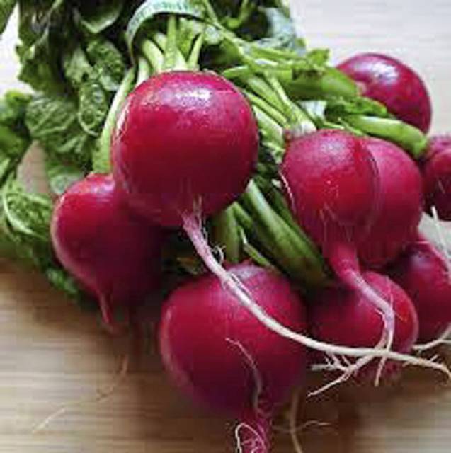 994093_web1_gtr-liv-spring-radishes-041019