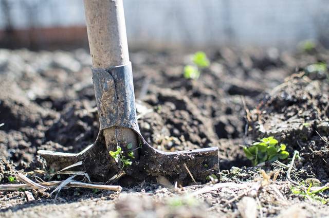 995780_web1_WEB-shoveling