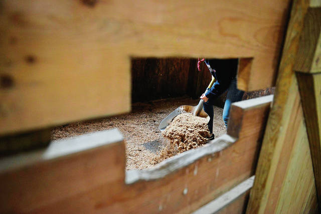 Sewickley Academy held their annual Day of Service