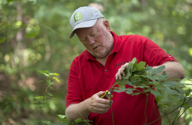 Welcome to Everybody Gardens<span class="headline-video">Video <i class="fa-solid fa-circle-play"></i></span>