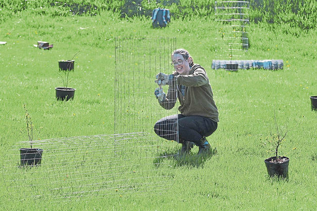 Plantings in North Park aim to bolster water, soil quality