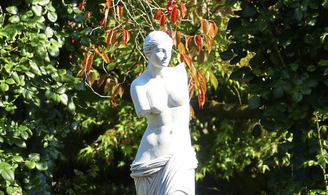 1110995_web1_ptr-NakedGarden-050419